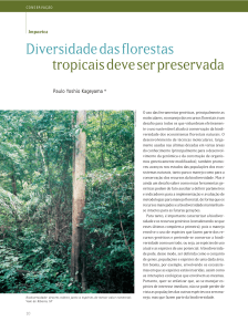 Diversidade das florestas tropicais deve ser preservada - Esalq