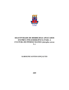 SELETIVIDADE DE HERBICIDAS APLICADOS EM PRÉ E