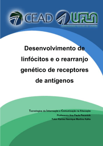 Desenvolvimento de linfócitos e o rearranjo genético