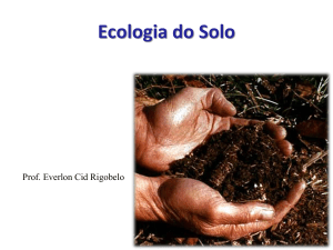 Ecologia do Solo