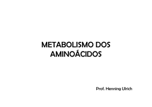 metabolismo dos aminoácidos - IQ-USP