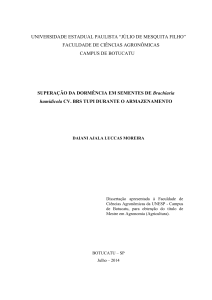 SUPERAÇÃO DA DORMÊNCIA EM SEMENTES DE Brachiaria