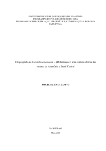 Filogeografia de Curatella americana L.