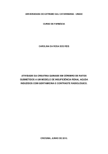 atividade da creatina quinase em c&eacute;rebro de ratos
