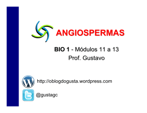 angiospermas - biologia - prof. gusta