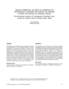 ANÁLISE AMBIENTAL DA ÁREA DO SAMBAQUI DO