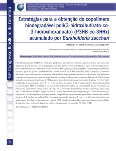 Estratégias para a obtenção do copolímero biodegradável poli(3