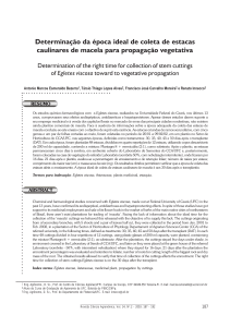 Determinação da época ideal de coleta de estacas caulinares de