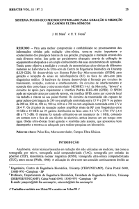 RBE/CEB VOL. 11 / N°, 2 SISTEMA PULSO