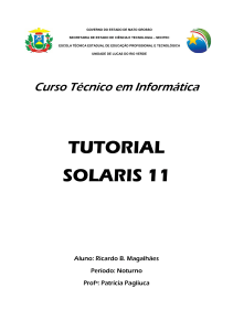 SO SOLARIS 11 Ricardo