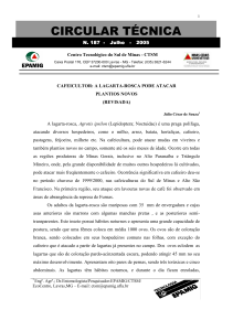 Circular técnica nº187 - EPAMIG