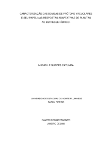 caracterização das bombas de prótons vacuolares e seu