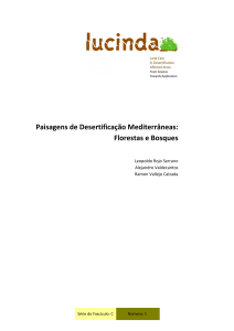 Paisagens de Desertificação Mediterrâneas: Florestas e