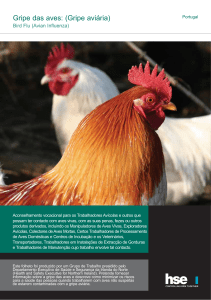 Avian influenza Portuguese