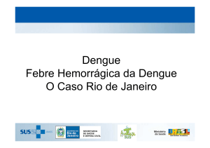 Dengue 2008 Rio