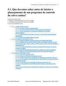 5.1. Que devemos saber antes de iniciar o planejamento de um