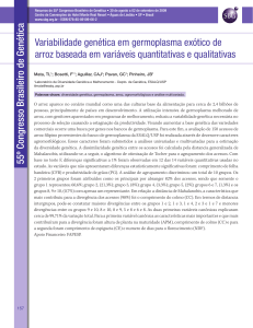 Variabilidade genética em germoplasma exótico de arroz baseada