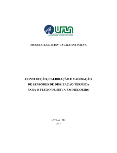 DISSERTAÇÃO_Construção, calibração e validação de