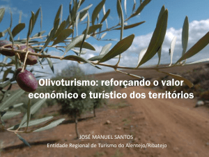 Olivoturismo: reforçando o valor económico e turístico dos territórios