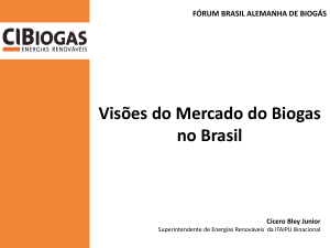 Visões do Mercado do Biogas no Brasil