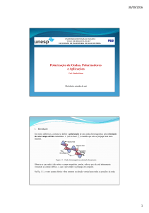 Polarização de Ondas e Aplicações