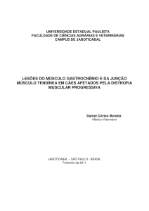 LESÕES DO MÚSCULO GASTROCNÊMIO E DA JUNÇÃO