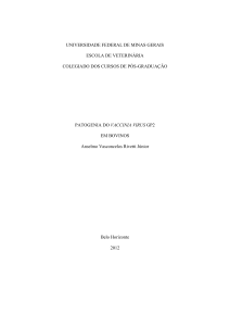 Vaccinia Vírus: Vias de eliminação e Estudo da Patogenia em Bovinos