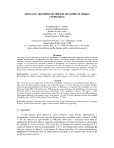 Técnicas de Aprendizado de Máquina para análise de imagens