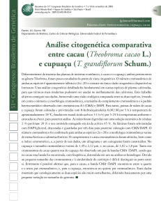 Análise citogenética comparativa entre cacau (Theobroma cacao L