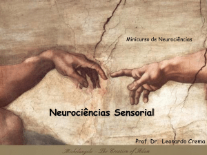 Neurociências Sensorial