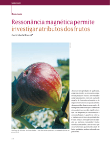 Ressonância magnética permite investigar atributos dos frutos