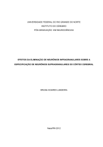 universidade federal do rio grande do norte instituto do