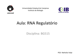 Aula RNA RegulatÃ³rio- BG515