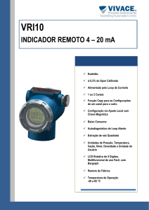 INDICADOR REMOTO 4 – 20 mA - Vivace Process Instruments