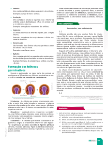 Formação dos folhetos germinativos