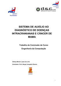 Sistema de auxílio ao diagnóstico de doenças intracranianas e