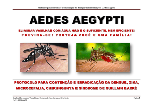 E-book - erradica zika