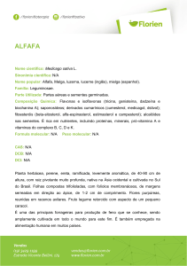 alfafa - Florien