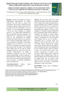 produtividade agroeconômica de cenoura cultivada com tipos e