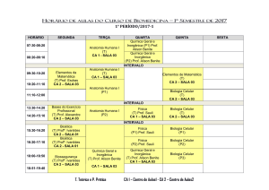 1° PERÍODO/2017-1 T. Teórica e P. Prática CA 1 – Centro de