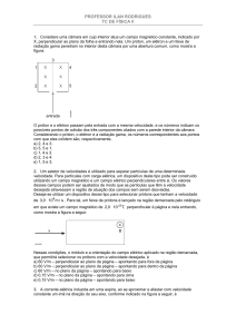 PROFESSOR ILAN RODRIGUES TC DE FÍSICA II