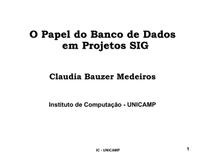 O Papel do Banco de Dados em Projetos SIG