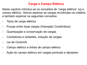 CampoElet1-Cargas