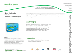 Diapositivo 1 - Grupo Novo Horizonte