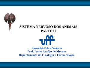 sistema nervoso dos animais parte ii