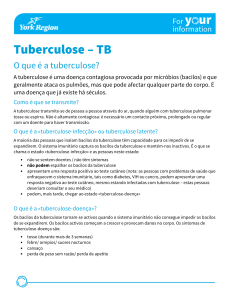 Tuberculosis Factsheet