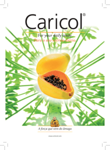 Folheto Caricol 2013