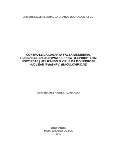 CONTROLE DA LAGARTA FALSA-MEDIDEIRA, Pseudoplusia