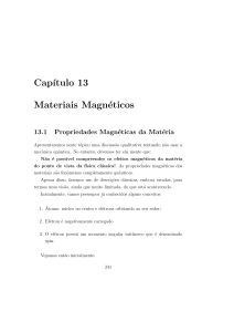 Cap´ıtulo 13 Materiais Magnéticos
