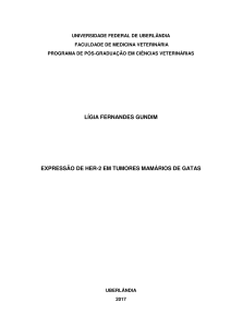 lígia fernandes gundim expressão de her